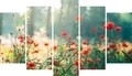 Set 5 tablouri decorative Garden, Homemania, lemn de pin/poliester