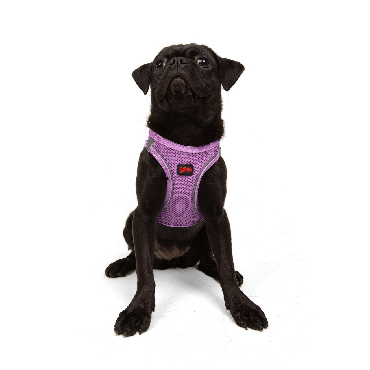 Ham pentru câini, Paws &amp; Whiskers, Air-Mesh, Lila - view 6