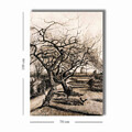 Tablou decorativ, 70100VANGOGH020, Canvas, Lemn, Multicolor