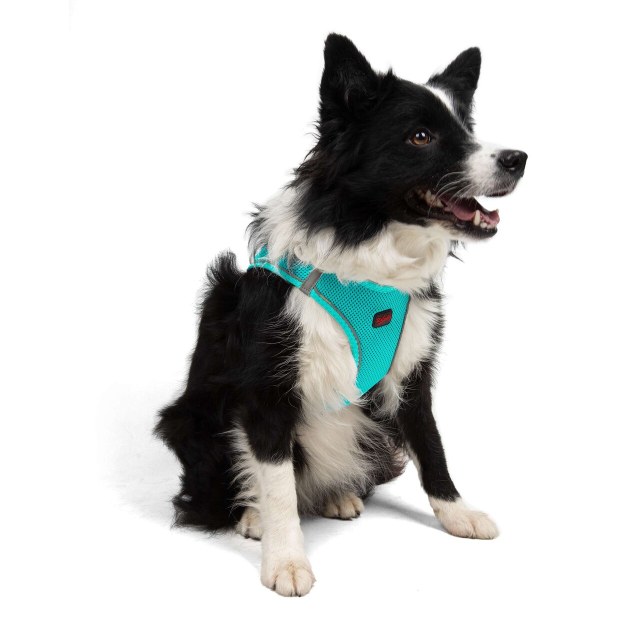 Ham pentru câini, Paws &amp; Whiskers, Air-Mesh, Poliester, Ocean - view 4