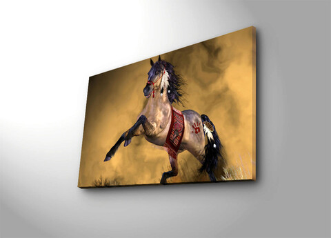 Tablou decorativ, 4570ntvc-4, canvas, dimensiune: 45 x 70 cm, multicolor