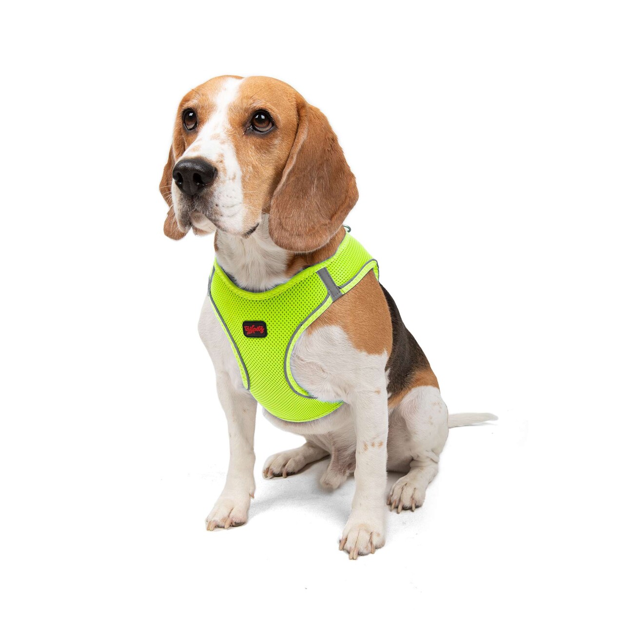 Ham pentru câini, Paws &amp; Whiskers, Air-Mesh, Poliester, Neo Lime - view 3