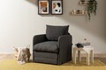 Canapea extensibilă cu 1 loc, Futon, 859FTN2882, Metal , Gri inchis