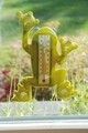 Termometru pentru exterior, Esschert, Frog, 3.5 x 17.6 x 23.8 cm, ABS/PVC/sticla, verde