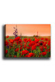Tablou decorativ, Kanvas Tablo (50 x 70), Canvas, Lemn, Multicolor