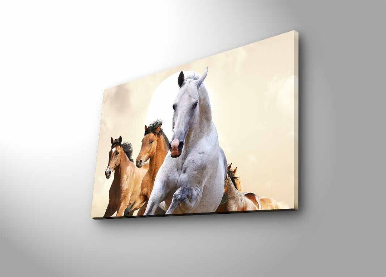 Tablou decorativ cu lumina LED, 4570DHDACT-093, PÂNZĂ DIN PIELE ÎNTOARSĂ, Dimensiune: 45 x 70 cm, Multicolor — imaginea 4