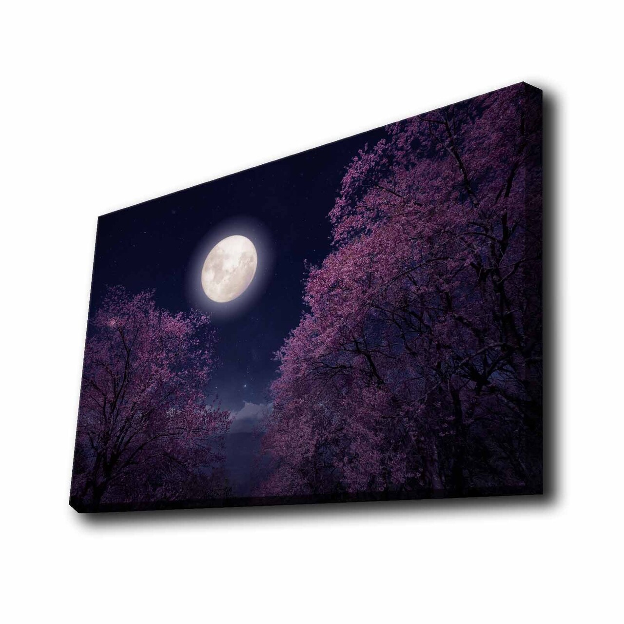 Tablou decorativ cu lumina LED, 4570KTLGDACT, Dimensiune: 45 x 70 cm, Multicolor - view 3
