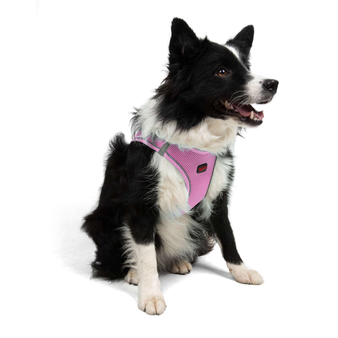 Ham pentru câini, Paws &amp; Whiskers, Air-Mesh, Poliester, Lila - view 5
