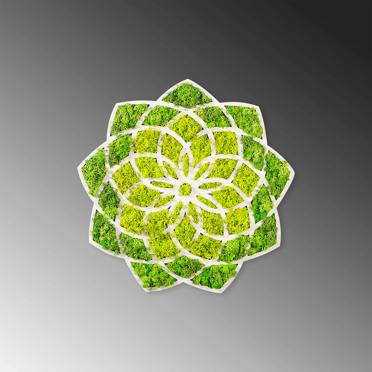 Decoratiune de perete, Daisy, Dimensiuni: 44 x 1,6 x 44 cm, Verde/Alb - view 5