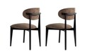 Set scaune 2 piese, Wayland, Lionte, Maro / Negru