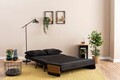 Canapea extensibilă cu 2 locuri, Futon, 859FTN2721, Metal , Negru