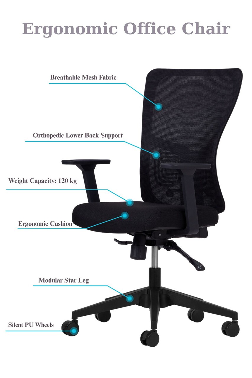 Set scaune de birou (2 piese), Hanah Home, Lumbar 108, Plastic, Negru - view 6