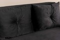 Canapea extensibilă cu 2 locuri, Futon, 859FTN2721, Metal , Negru