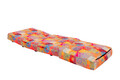Canapea extensibilă cu 1 loc, Futon, 859FTN2319, Metal , Multicolor