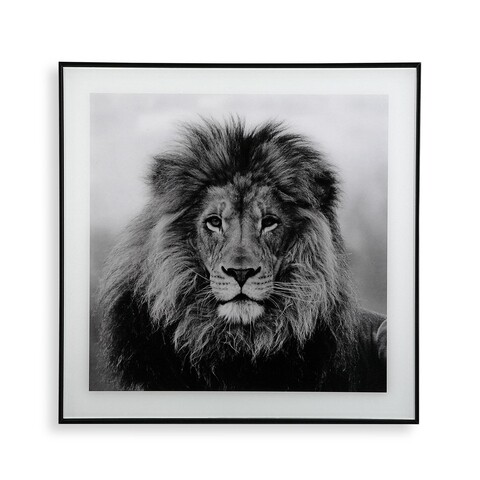 Tablou decorativ din sticla majestic lion, versa, 50x50 cm