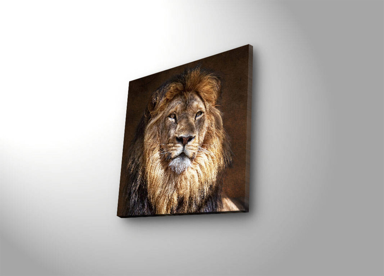 Tablou decorativ cu lumina LED, 4040İACT-20, Dimensiune: 40 x 40 cm, Multicolor - view 4