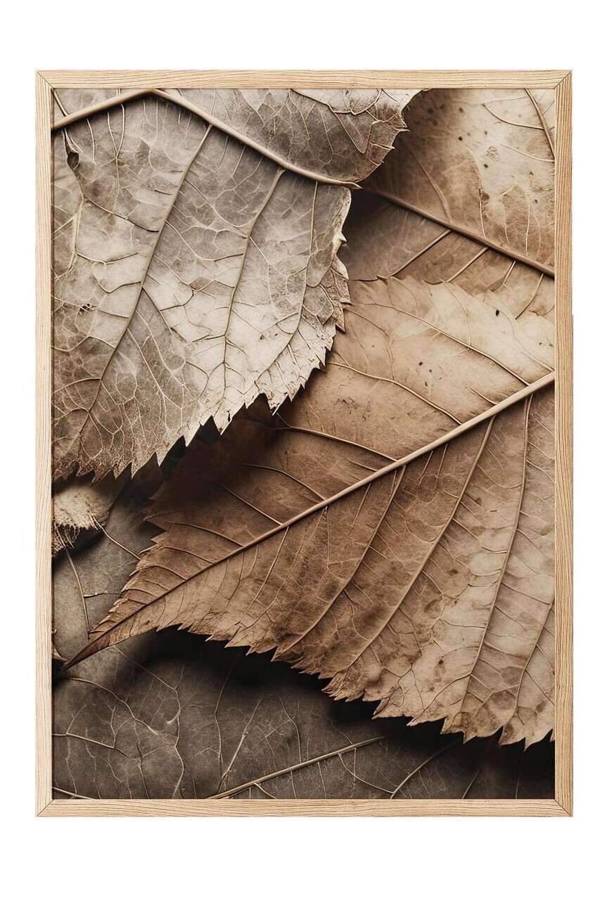 Tablou decorativ, 108352, Lemn masiv, Sticla PVC, Multicolor - view 2