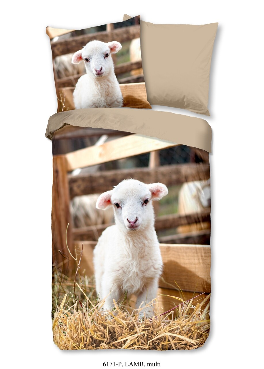 Lenjerie De Pat Pentru O Persoana, Good Morning, Lamb, 100% Bumbac, 2 Piese, Multicolor