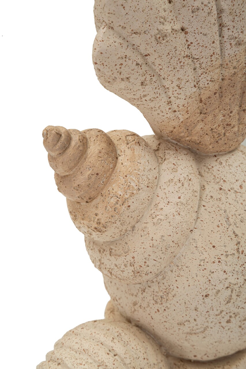 Decoratiune, Mauro Ferretti, Shell, 17.2x10x30.2 cm, polirasina, bej - imagine 2