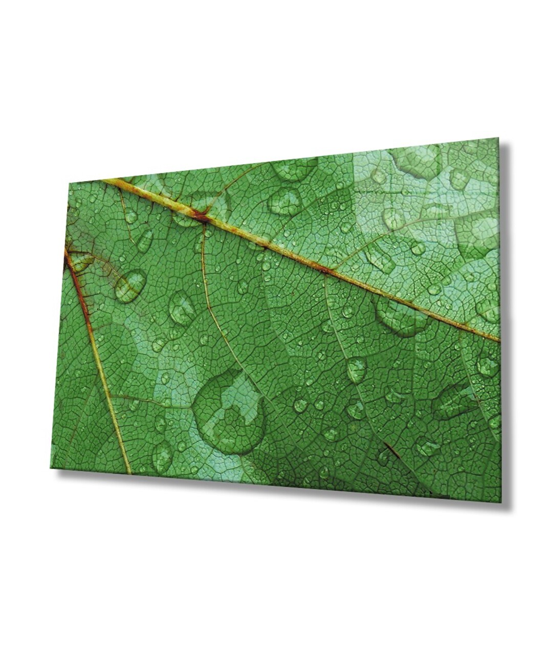 Tablou decorativ, 7213, Dimensiuni: 46 x 72 cm, Multicolor - view 2