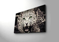 Tablou decorativ cu lumina LED, 4570İACT-43, Canvas, Dimensiune: 45 x 70 cm, Multicolor