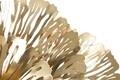 Aplica de perete Golden Ibis, Mauro Ferretti, 1 x E27, 40W, 56.5x12x42.5 cm, fier