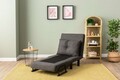Canapea extensibilă cu 1 loc, Futon, 859FTN2346, Metal , Gri inchis