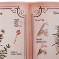 Decoratiune de perete Book Shape Rosmarinus, Creaciones Meng, 45x28 cm