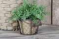 Ghiveci in suport, Esschert, 13 x 15.3 x 9.5 cm, teracota/otel moale