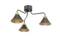 Lustra ELTAP, Detmer, 66x29 cm, 3xE27, 15W, otel, negru/auriu