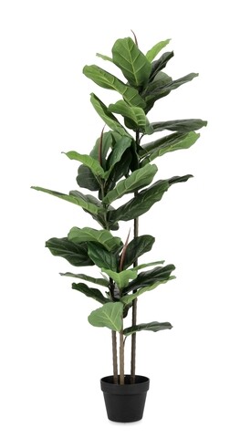 Planta artificiala in ghiveci Ficus, Bizzotto, 100 x 60 x 145 cm, 39 de frunze, verde