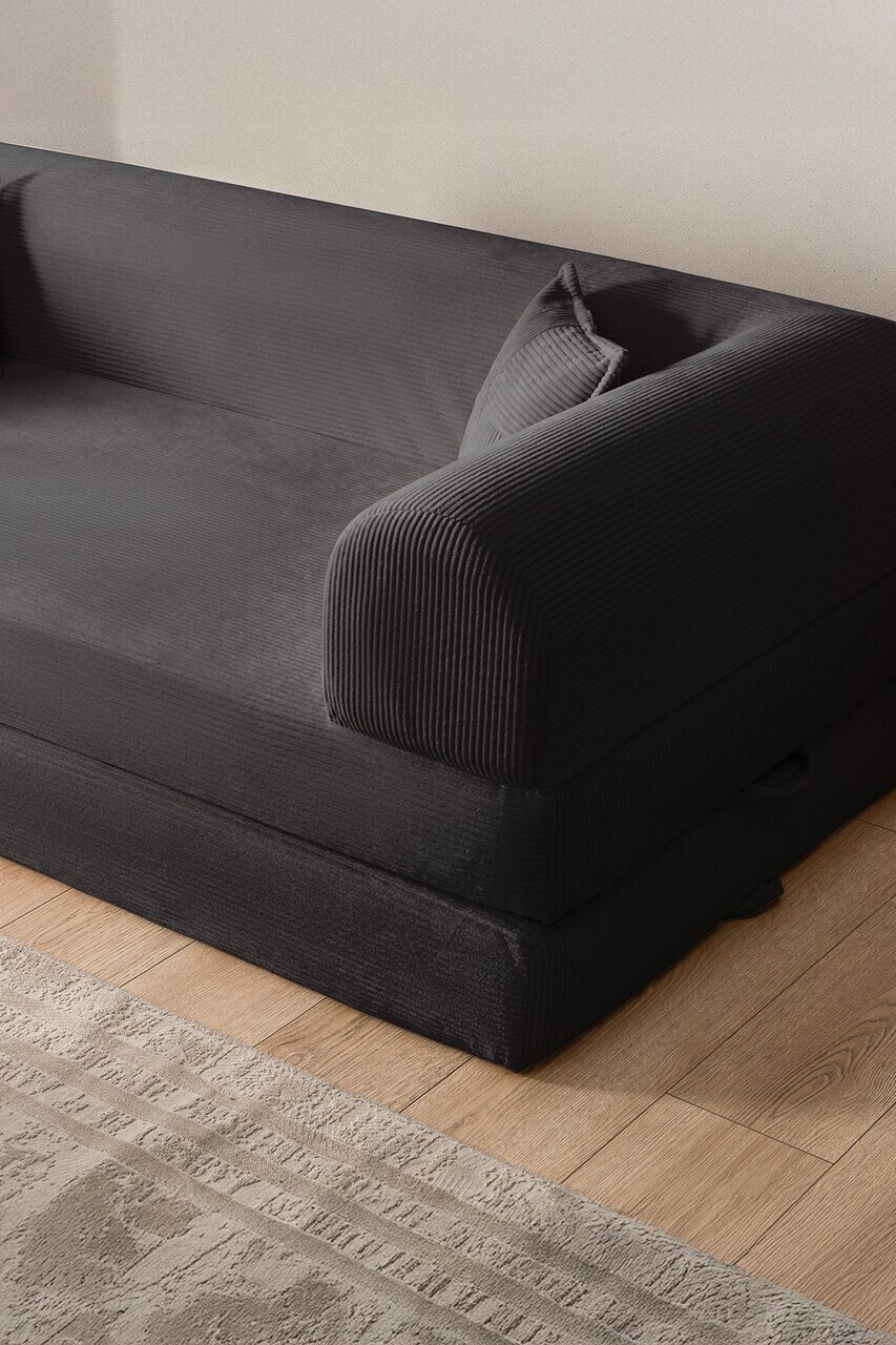 Canapea extensibila 3 locuri, Atelier del Sofa, 118FVL1306, Tesatura plus reiata, Antracit - view 4