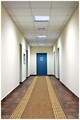 Traversa pentru hol Zara, Decorino, 80x250 cm, polipropilena, maro