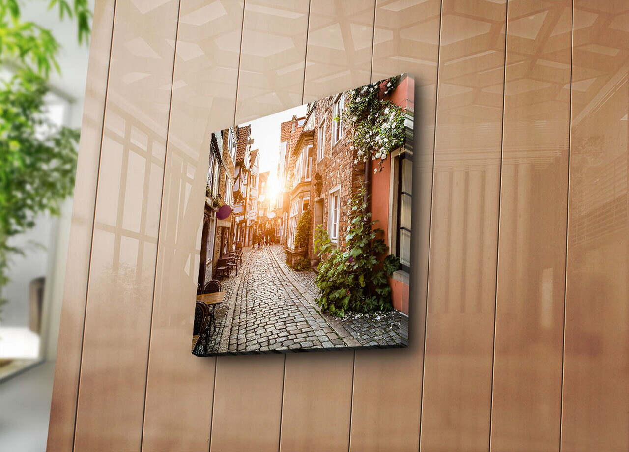 Tablou decorativ 4545K-54 PÂNZĂ DIN PIELE ÎNTOARSĂ Dimensiune: 45 x 45 cm Multicolor