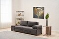 Canapea extensibila 3 locuri, Atelier del Sofa, 613LFS1156, Antracit