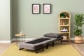 Canapea extensibilă cu 1 loc, Futon, 859FTN2343, Metal , Gri