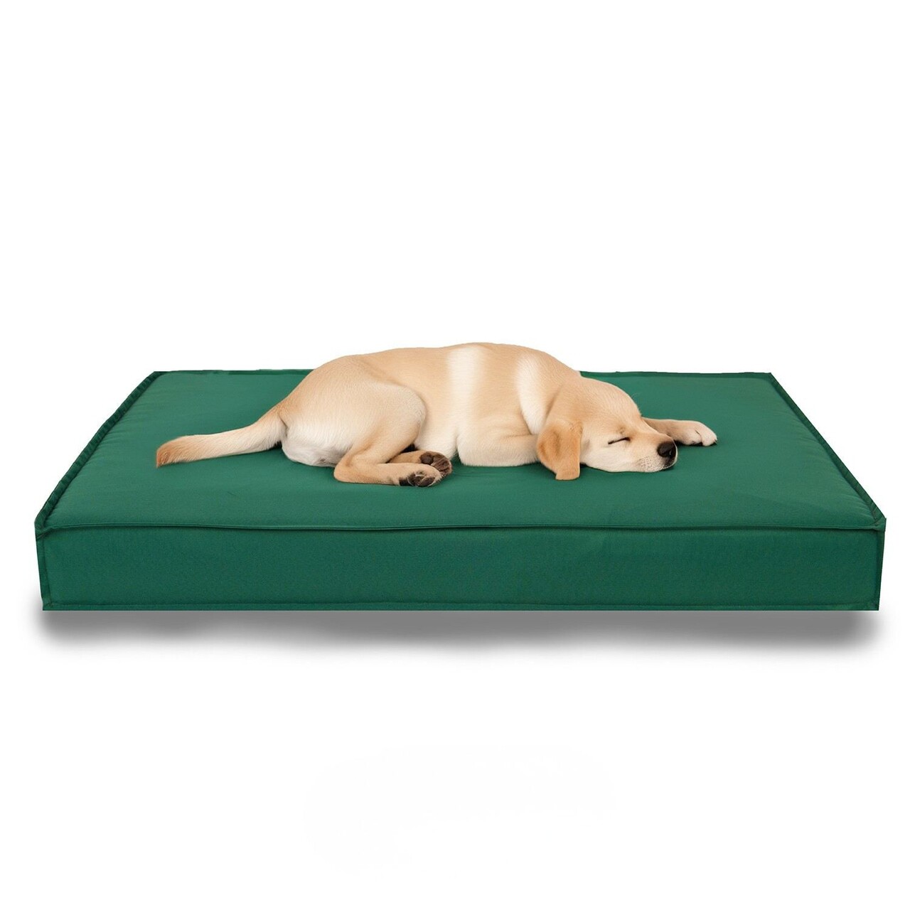 Pat pentru animale de companie, Paws &amp; Whiskers, Eva Garden Dog L, Material exterior: 100% poliester, Verde - view 2