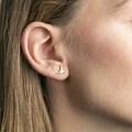 Cercei, Emily Westwood, Rose Gold Kelly, inox, auriu