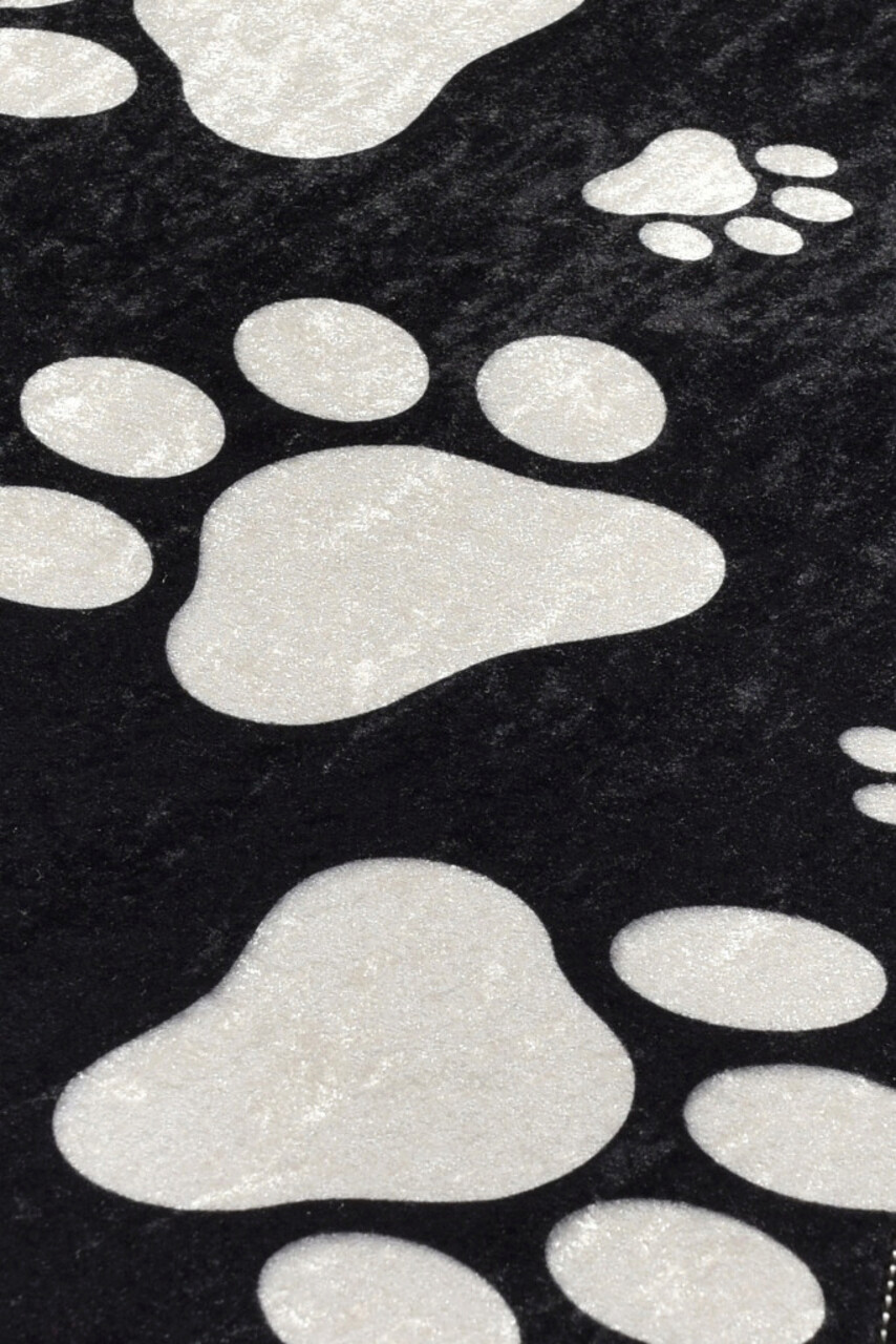 Covor, Paw, 60x100 cm, Multicolor - view 2