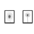 Set 2 tablouri decorative, All White Flower Set, PAL, Hartie, Multicolor