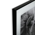 Tablou decorativ din sticla Lion Profile, Versa, 50x50 cm