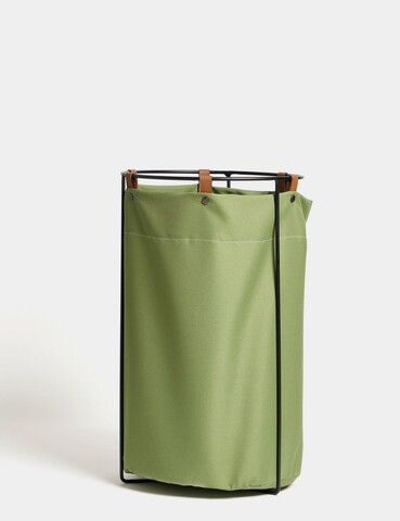 Cos de rufe, Coatify, Edda, Verde