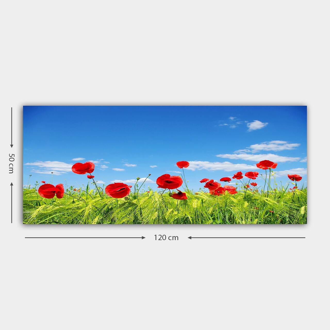 Tablou decorativ, YTY961713_50120, Cadru: 100% LEMN (grosime: 3 cm), Multicolor - view 3