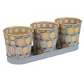 Set 3 ghivece si tavita, Lemon, Creaciones Meng, 28.5x10x10 cm