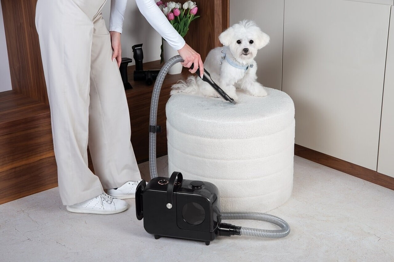 Aspirator pentru ingrijirea animalelor de companie Berlinger Haus, Black Rose, 350W, 2.2 L, negru - imagine 3