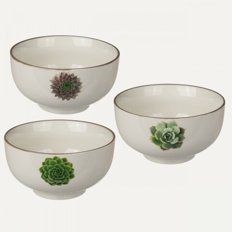Set 3 boluri Suculents