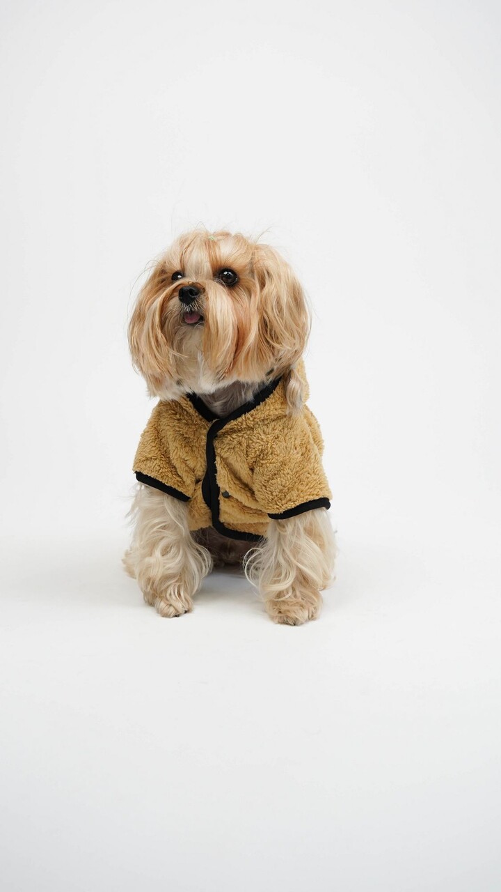 Hanorac pentru câini, Paws &amp; Whiskers, Teddy Welsoft Jacket, Verde - imagine 2