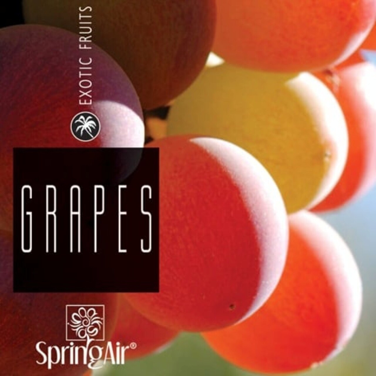 Rezerva odorizanta pentru camera, Grapes, Spring Air, 250 ml