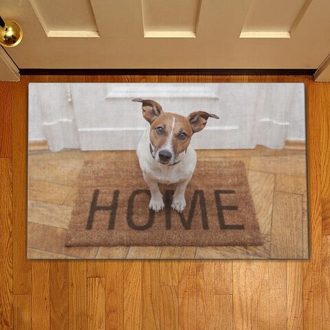 Covoras de intrare dog, casberg, 38x58 cm, poliester,