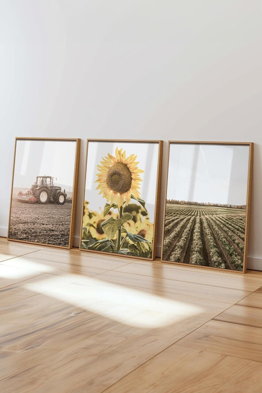 Set de pictură decorativă, Ç-300356, Sticla PVC, Multicolor — imaginea 3
